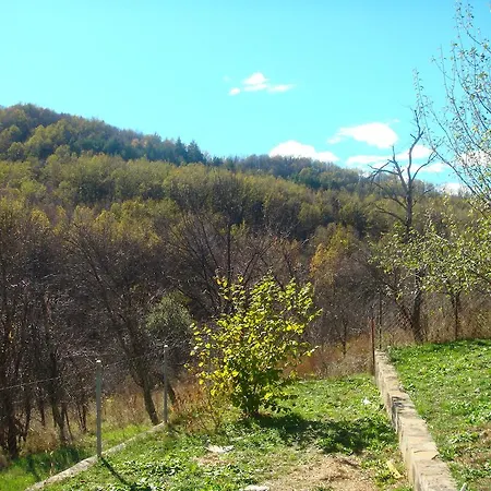 Family And Restaurant Plamena