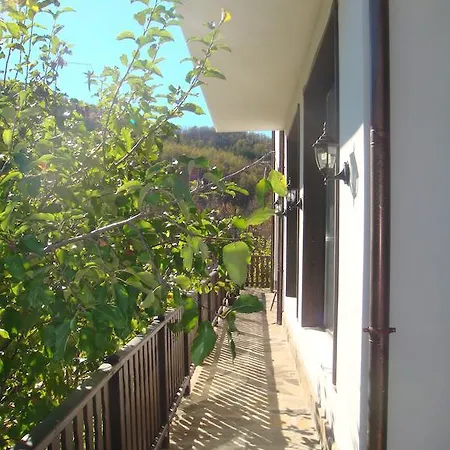 Family And Restaurant Plamena Oreşak